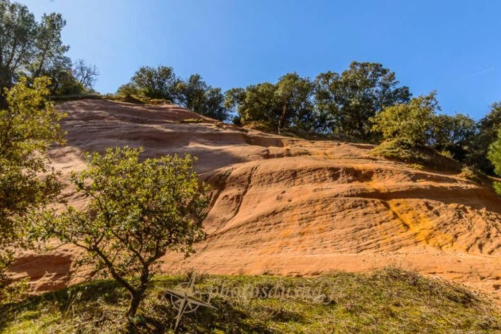Chambre D Hotes Dans Le Vaucluse Mazan Exteriör bild
