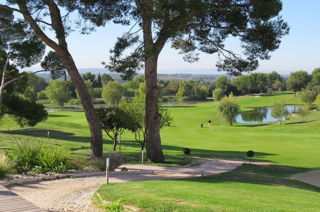 Chambre D Hotes Dans Le Vaucluse Mazan Exteriör bild