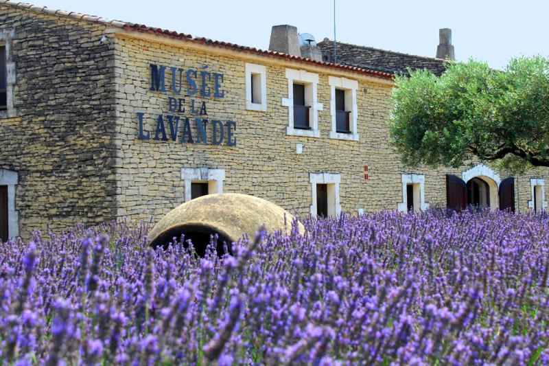 Chambre D Hotes Dans Le Vaucluse Mazan Exteriör bild